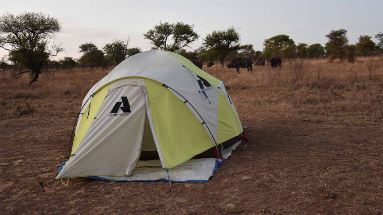 Safari tent at a public campsite in the Serengeti