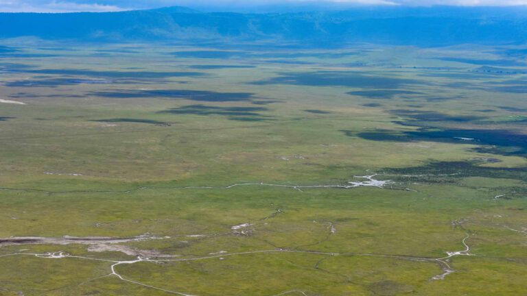 View over the Ngorongoro Crater floor