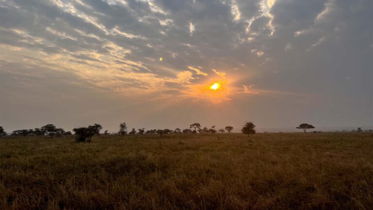 Sunset over the Serengeti plains