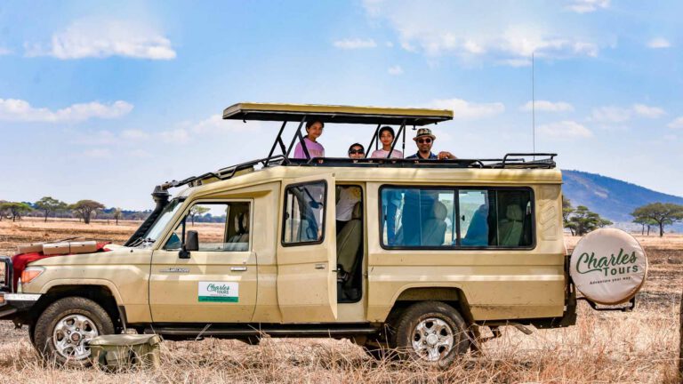 Charles Tours safari vehicle with guests on the plains